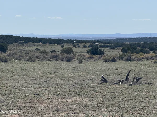 $32,900 | Lot 531 Woodland Valley Ranch, Unit 531, St. Johns, AZ 85936