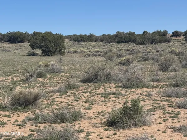 $32,900 | Lot 531 Woodland Valley Ranch, Unit 531, St. Johns, AZ 85936