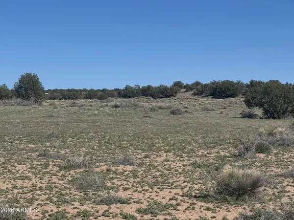 $32,900 | Lot 531 Woodland Valley Ranch, Unit 531, St. Johns, AZ 85936