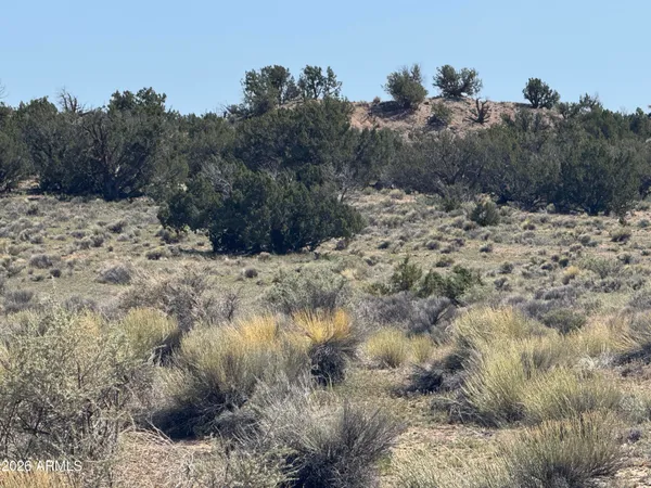 $32,900 | Lot 531 Woodland Valley Ranch, Unit 531, St. Johns, AZ 85936
