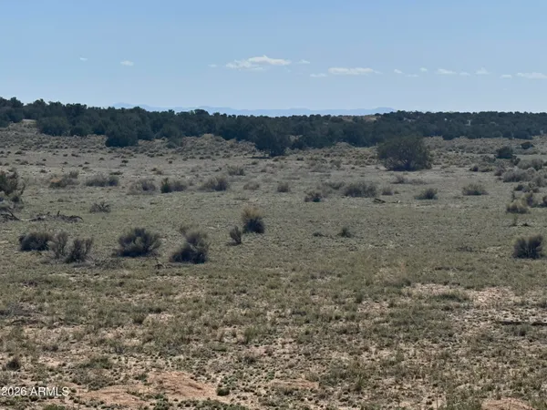 $32,900 | Lot 531 Woodland Valley Ranch, Unit 531, St. Johns, AZ 85936