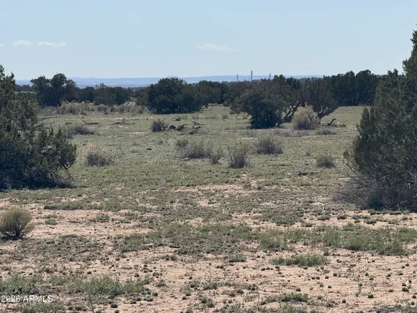 $32,900 | Lot 531 Woodland Valley Ranch, Unit 531, St. Johns, AZ 85936