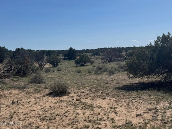 $32,900 | Lot 531 Woodland Valley Ranch, Unit 531, St. Johns, AZ 85936