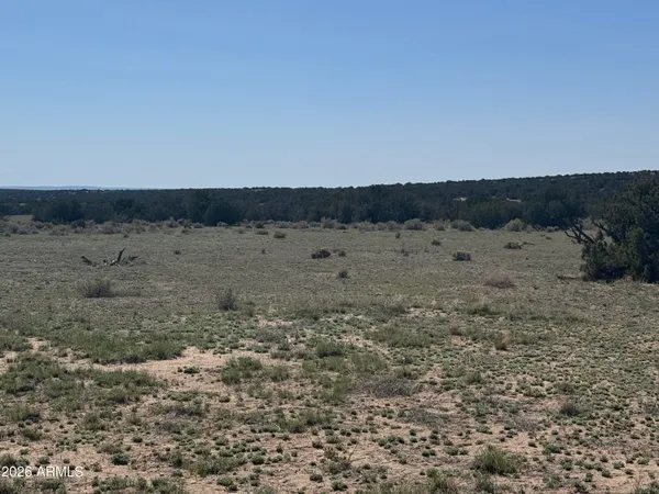 $32,900 | Lot 531 Woodland Valley Ranch, Unit 531, St. Johns, AZ 85936