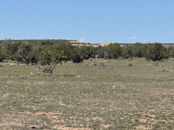 $32,900 | Lot 531 Woodland Valley Ranch, Unit 531, St. Johns, AZ 85936