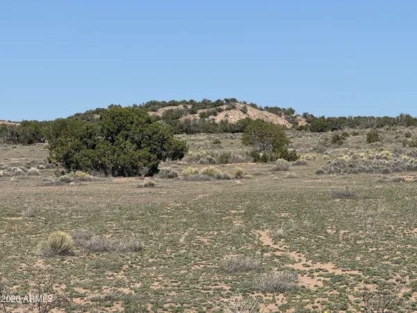 $32,900 | Lot 531 Woodland Valley Ranch, Unit 531, St. Johns, AZ 85936