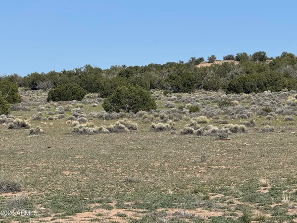 $32,900 | Lot 531 Woodland Valley Ranch, Unit 531, St. Johns, AZ 85936