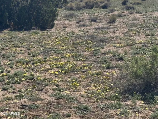$32,900 | Lot 531 Woodland Valley Ranch, Unit 531, St. Johns, AZ 85936