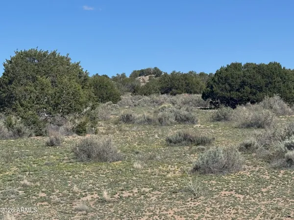 $32,900 | Lot 531 Woodland Valley Ranch, Unit 531, St. Johns, AZ 85936