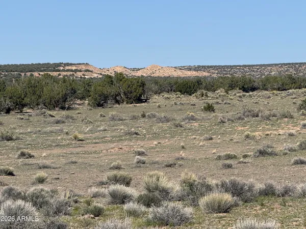 $32,900 | Lot 531 Woodland Valley Ranch, Unit 531, St. Johns, AZ 85936