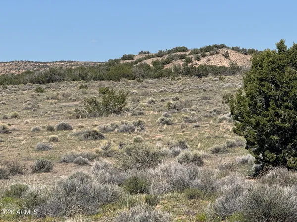 $32,900 | Lot 531 Woodland Valley Ranch, Unit 531, St. Johns, AZ 85936