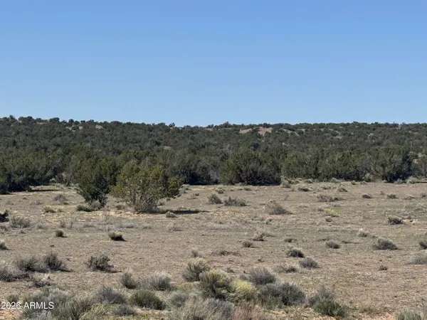 $32,900 | Lot 531 Woodland Valley Ranch, Unit 531, St. Johns, AZ 85936