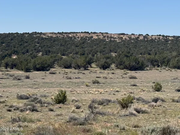 $32,900 | Lot 531 Woodland Valley Ranch, Unit 531, St. Johns, AZ 85936