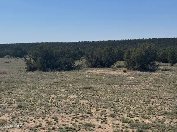 $32,900 | Lot 531 Woodland Valley Ranch, Unit 531, St. Johns, AZ 85936