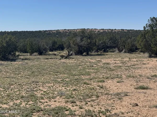 $32,900 | Lot 531 Woodland Valley Ranch, Unit 531, St. Johns, AZ 85936