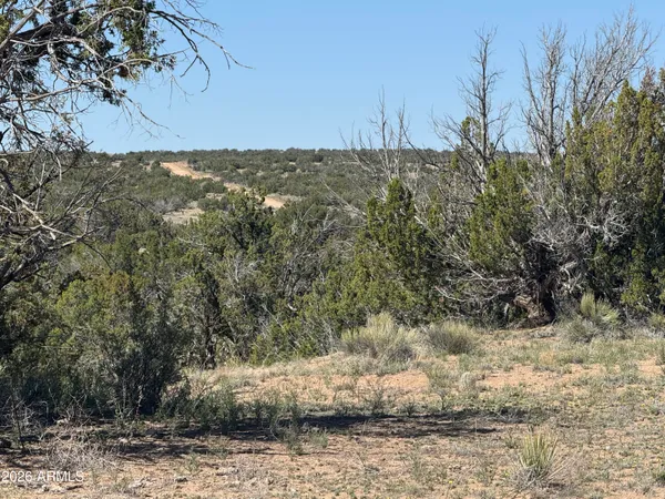 $32,900 | Lot 531 Woodland Valley Ranch, Unit 531, St. Johns, AZ 85936