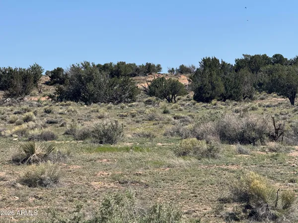 $32,900 | Lot 531 Woodland Valley Ranch, Unit 531, St. Johns, AZ 85936