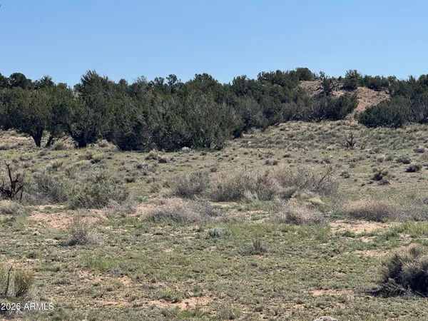 $32,900 | Lot 531 Woodland Valley Ranch, Unit 531, St. Johns, AZ 85936
