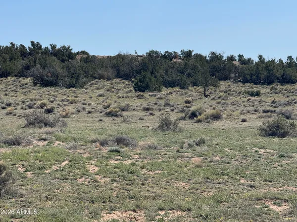 $32,900 | Lot 531 Woodland Valley Ranch, Unit 531, St. Johns, AZ 85936