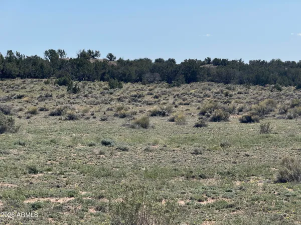 $32,900 | Lot 531 Woodland Valley Ranch, Unit 531, St. Johns, AZ 85936
