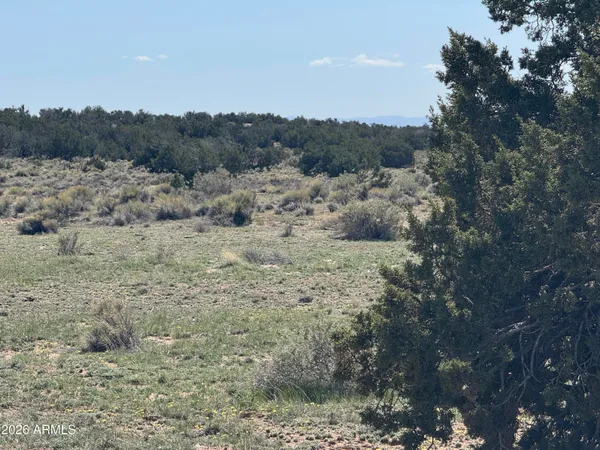 $32,900 | Lot 531 Woodland Valley Ranch, Unit 531, St. Johns, AZ 85936
