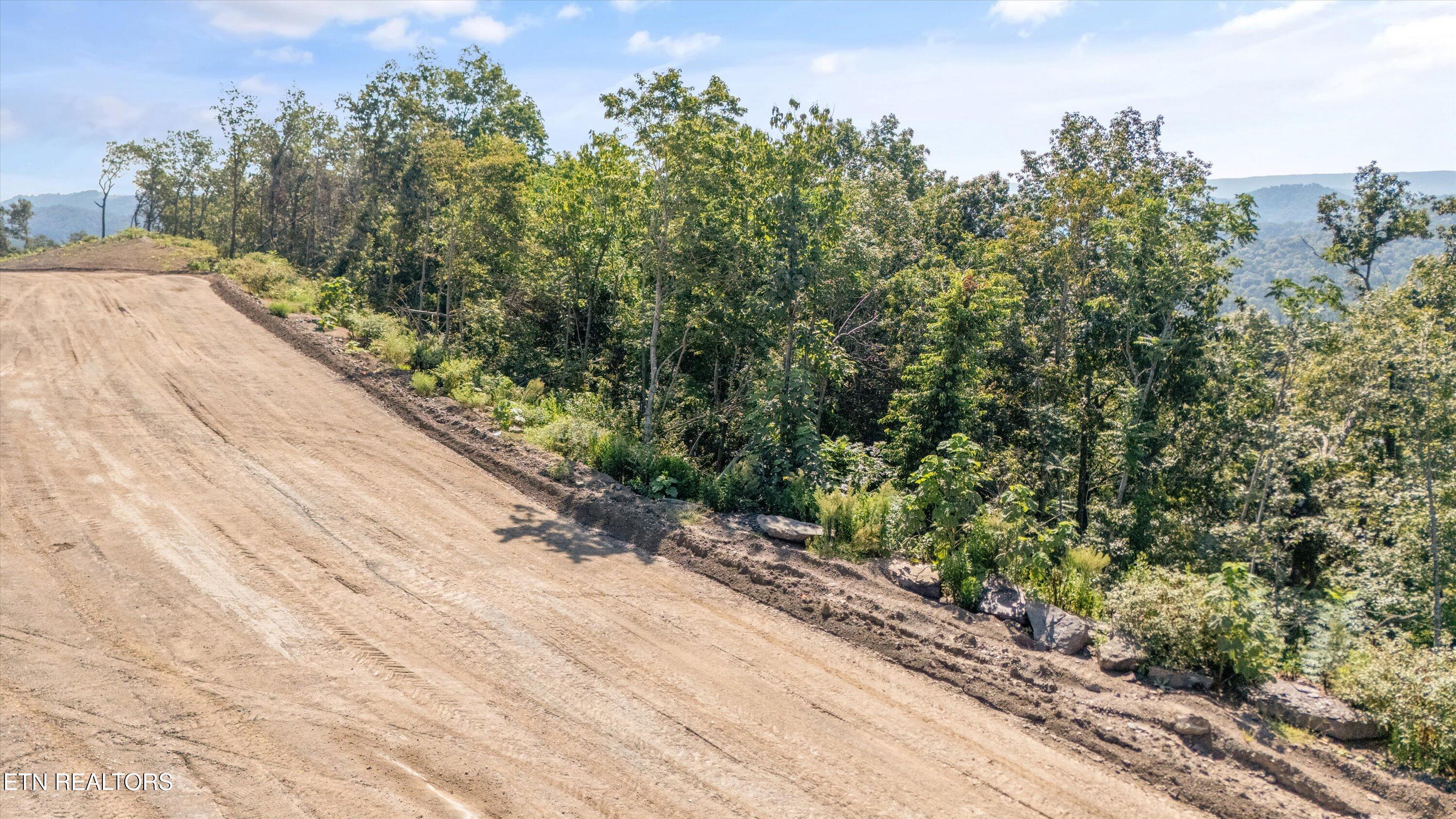 Lot 104 Sommet Ridge Tazewell, TN 37879 - Photo 12 of 18 Aerial