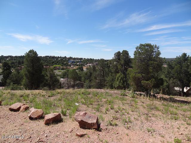 102 North Lookout Point, Unit 57A Payson, AZ 85541 - Photo 13 of 15 DSC09212