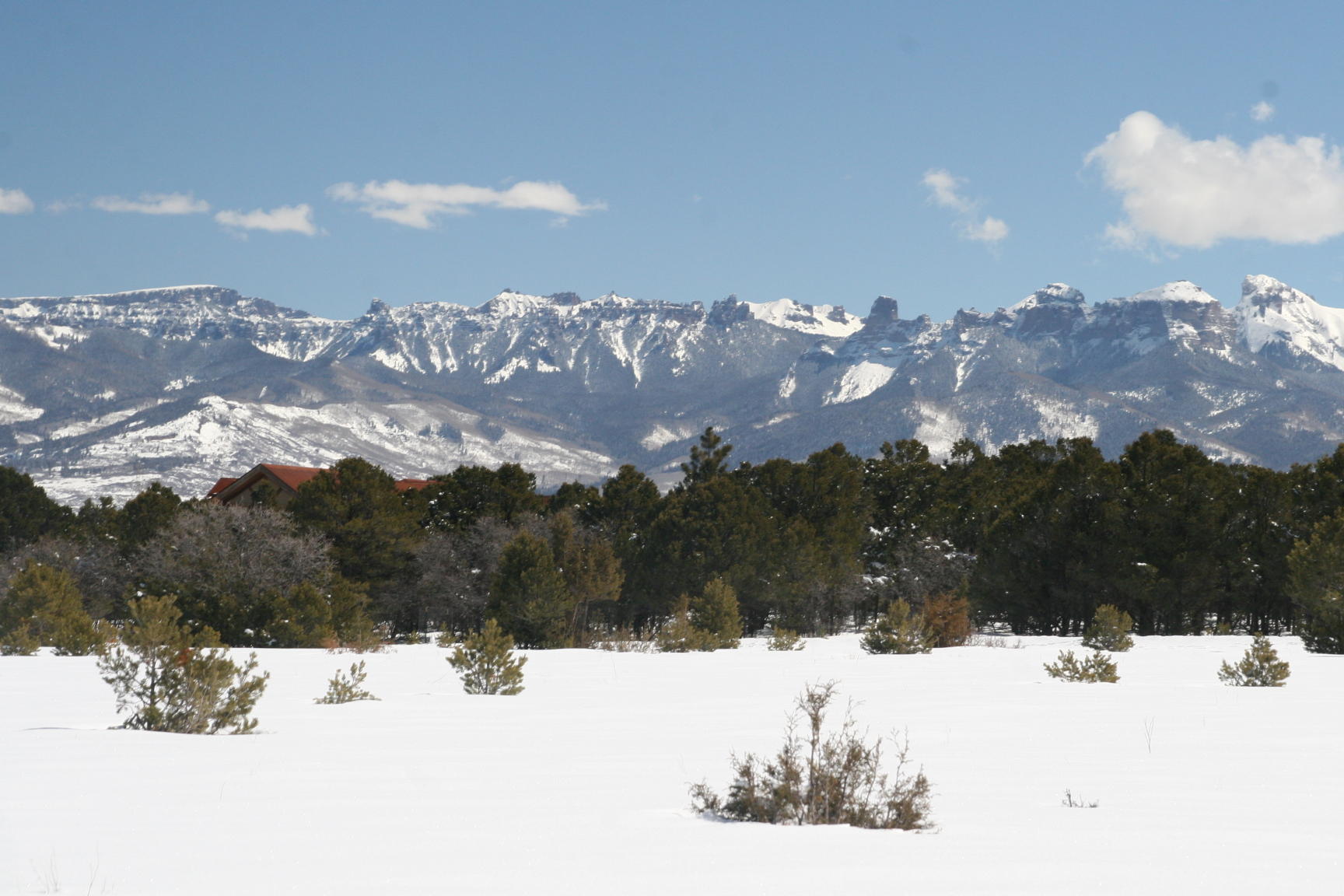 937 Juniper Road North Ridgway, CO 81432 - Photo 3 of 24 IMG_4947
