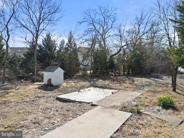 a view of a yard with a tree