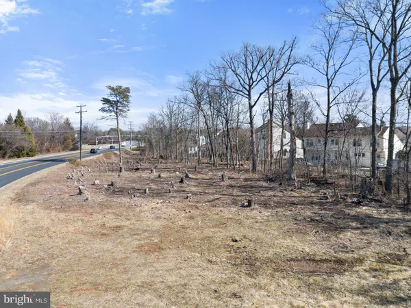 a view of road with trees