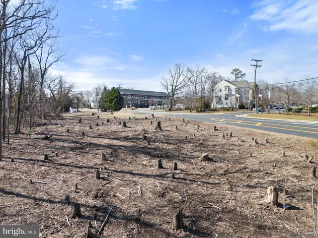 a view of dirt yard with large trees