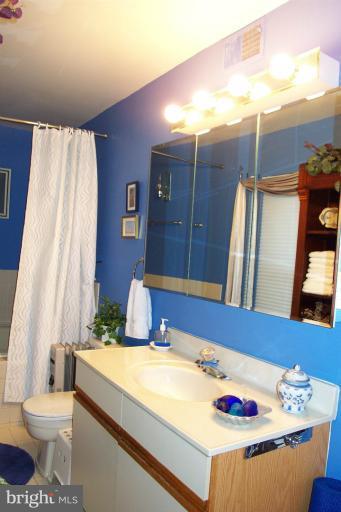 11298 Harbor Court, Unit 1298 Reston, VA 20191 - Photo 17 of 26 Bath (Master)