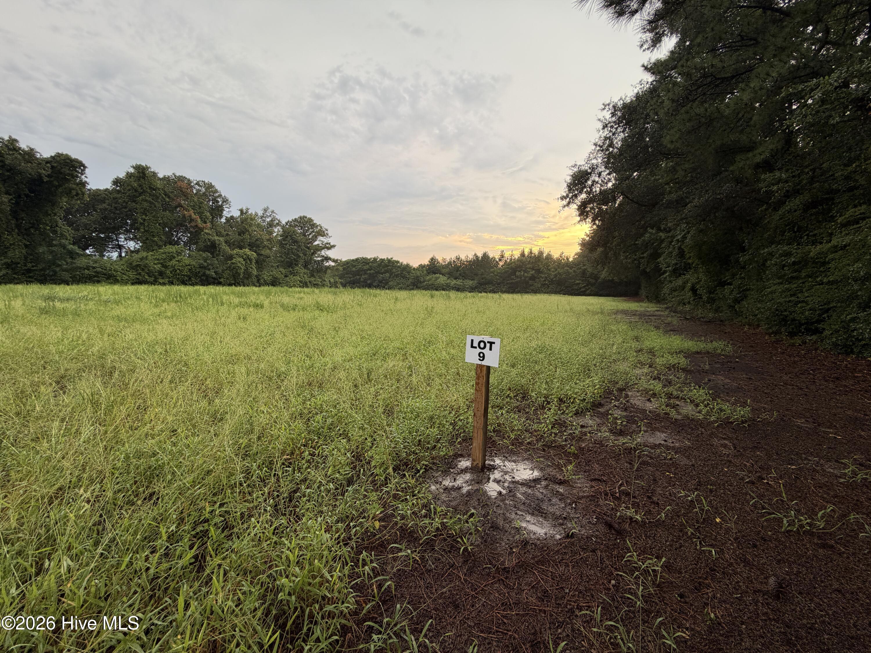 Lot 9 Point Caswell Road Willard, NC 28478 - Photo 12 of 12 Gallery Image 12