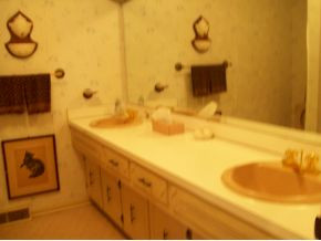 29 Compton Bristol, TN 37620 - Photo 11 of 18 Guest Bath