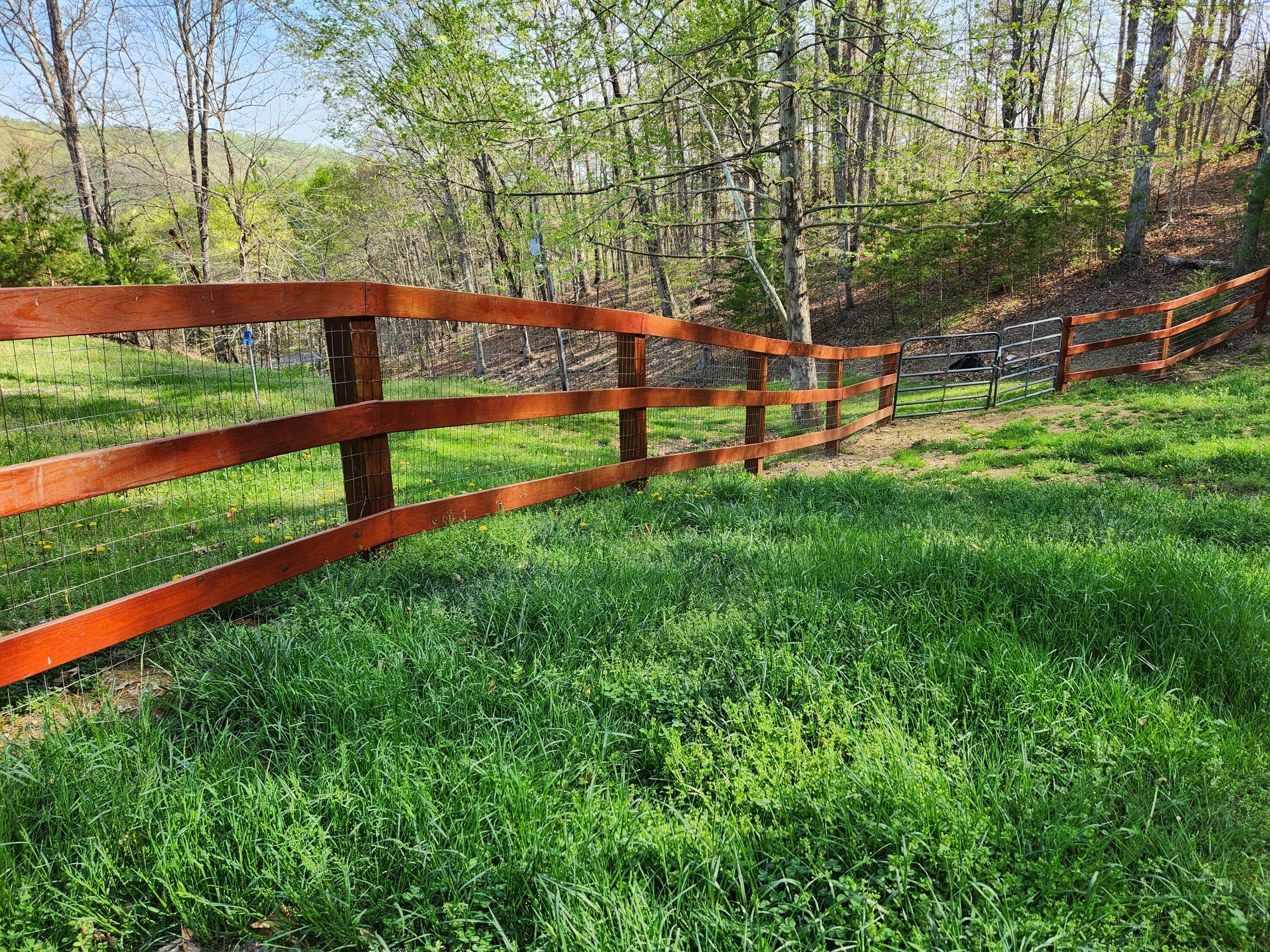 2476 Guinn Narrows Road Decatur, TN 37322 - Photo 3 of 63 20250405_100642 - Copy