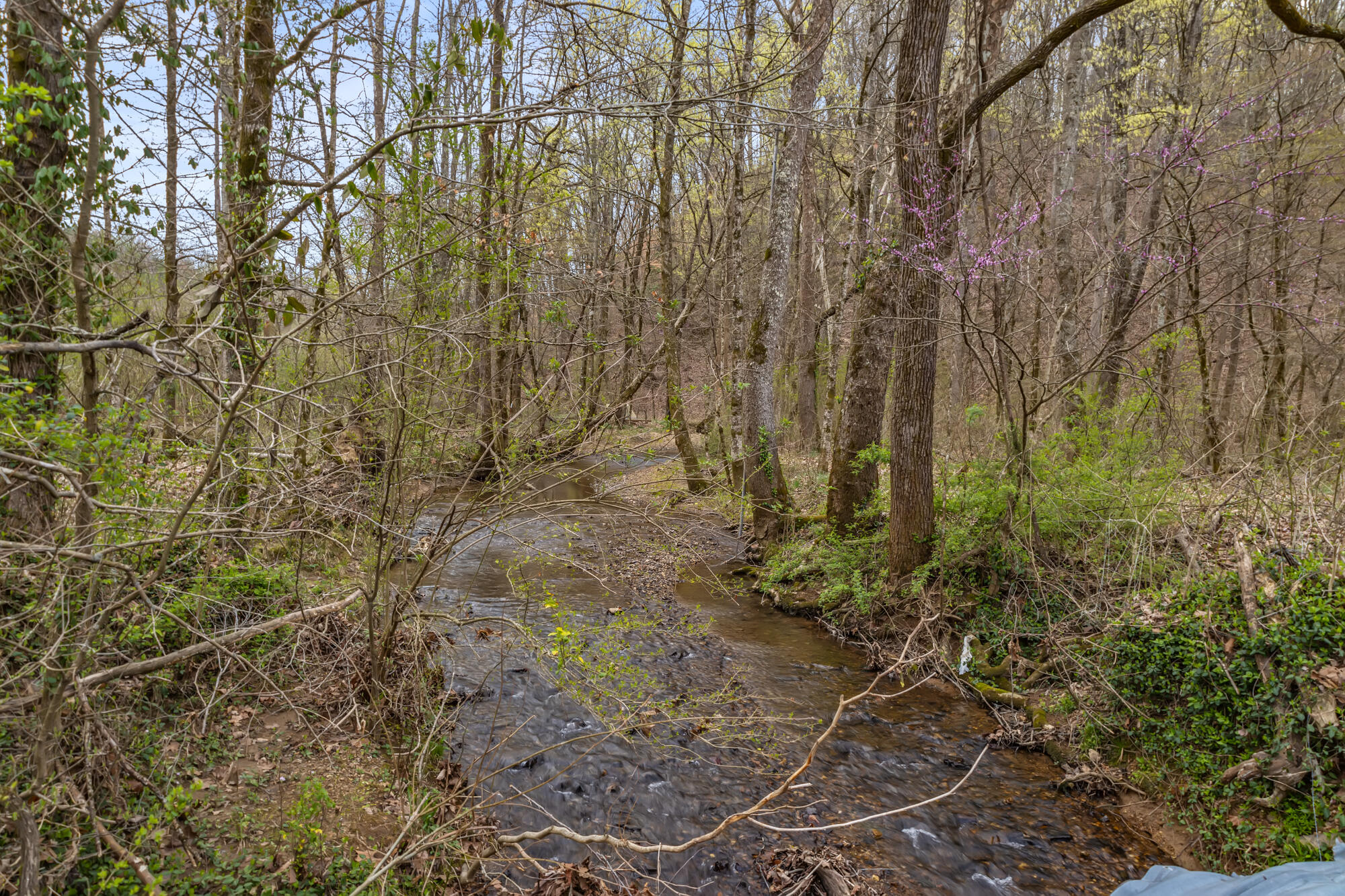 2476 Guinn Narrows Road Decatur, TN 37322 - Photo 46 of 63 2476 Guinn Narrows Rd-40