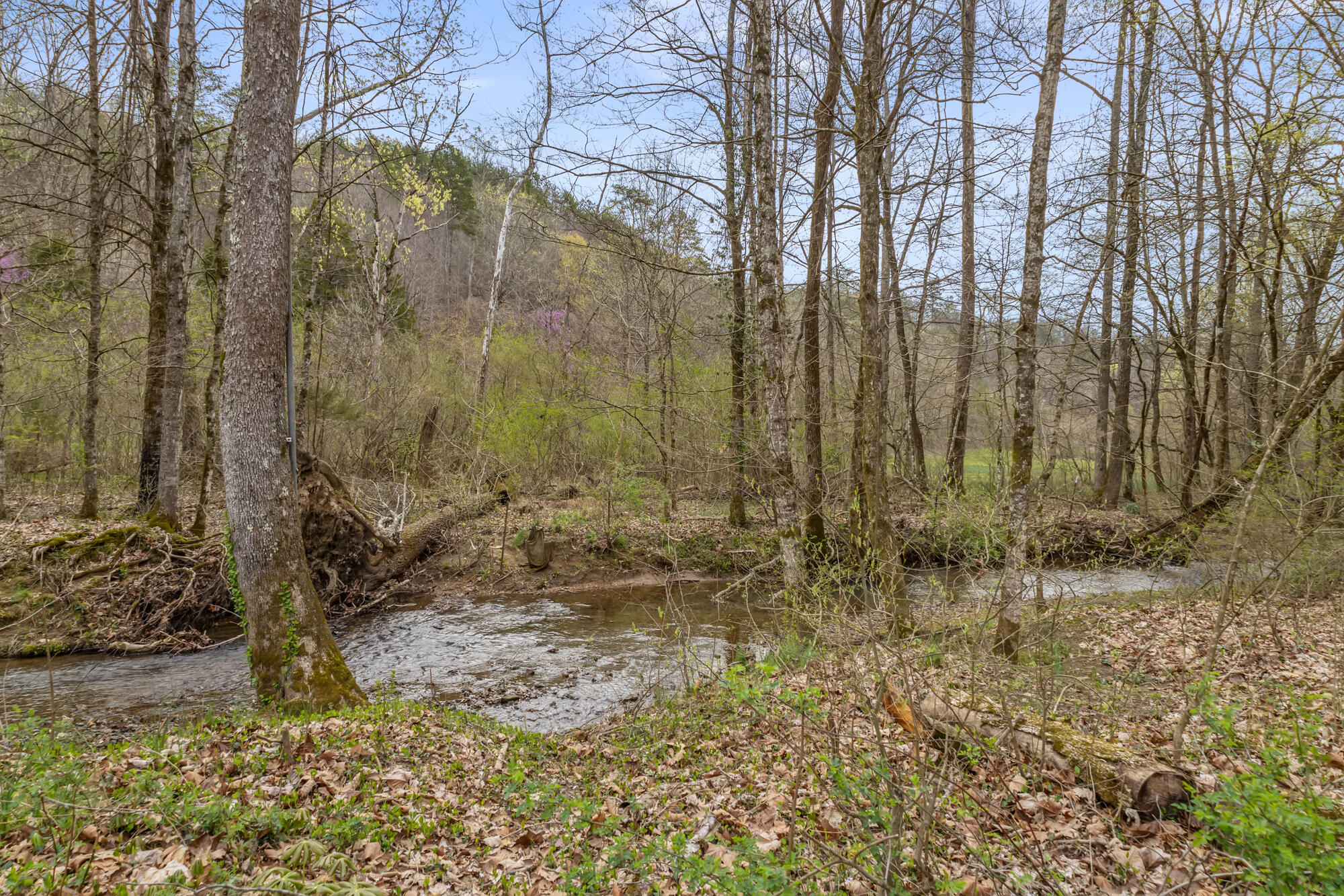2476 Guinn Narrows Road Decatur, TN 37322 - Photo 47 of 63 2476 Guinn Narrows Rd-41