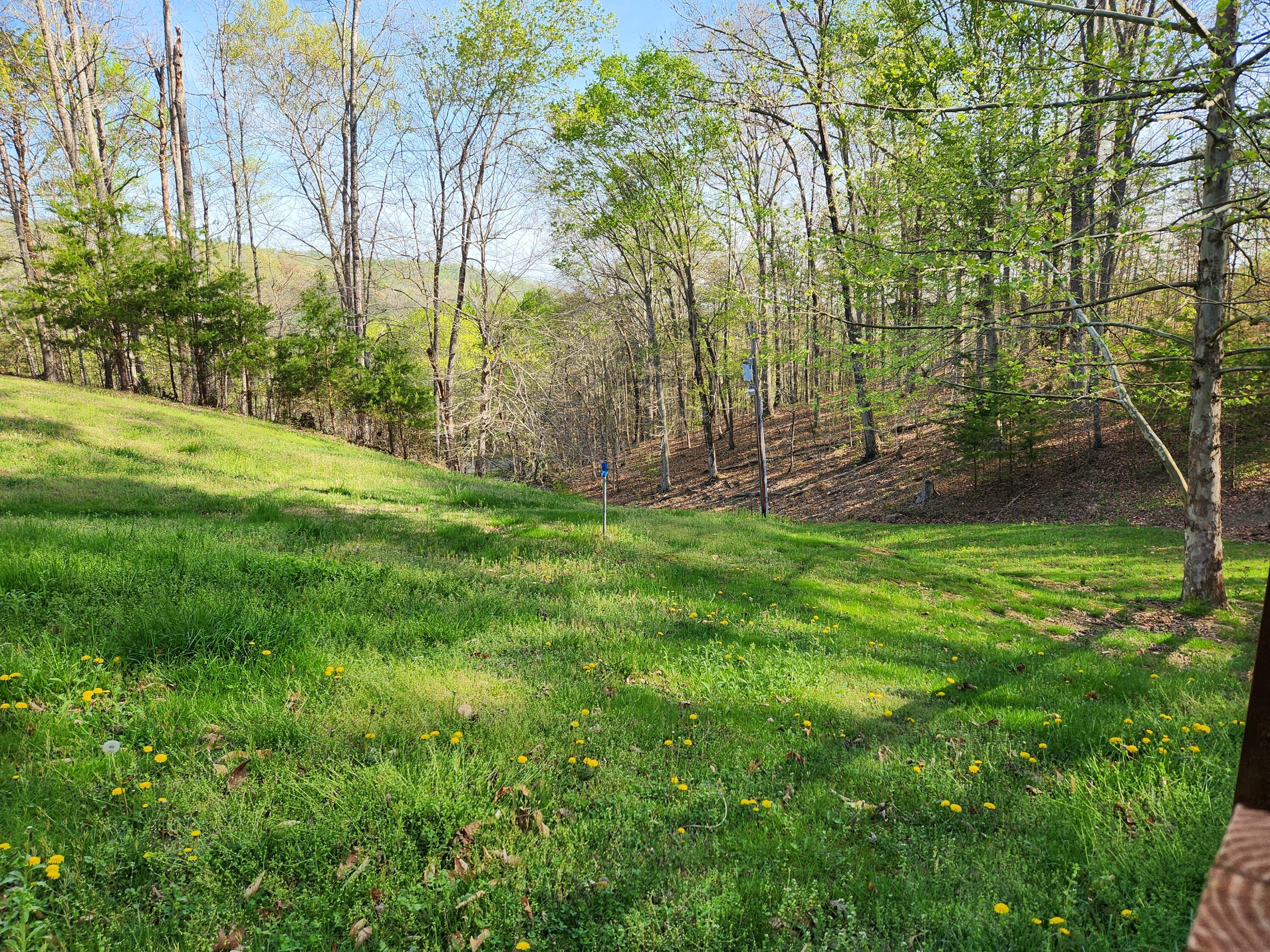 2476 Guinn Narrows Road Decatur, TN 37322 - Photo 56 of 63 20250405_100651