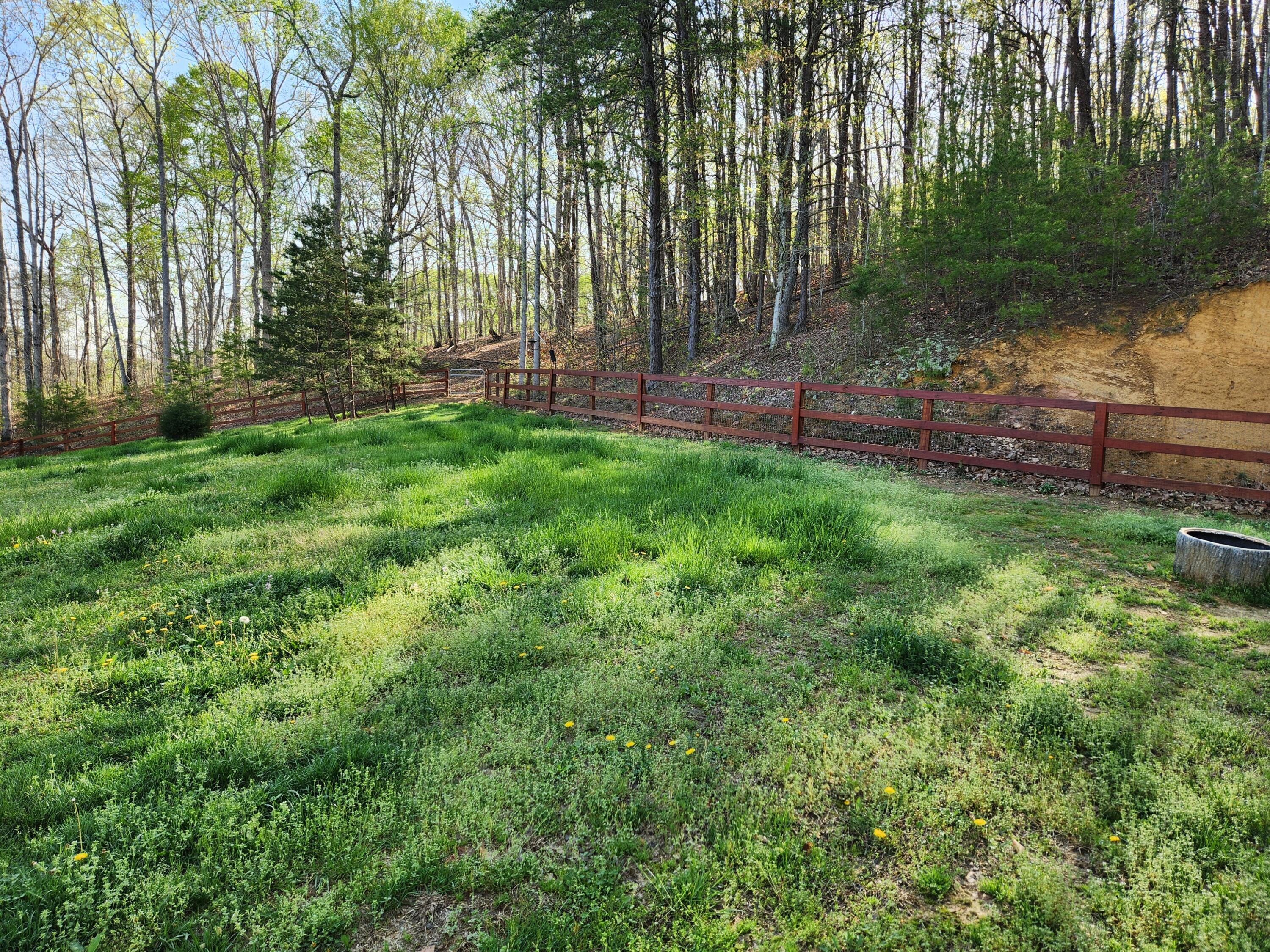 2476 Guinn Narrows Road Decatur, TN 37322 - Photo 58 of 63 20250405_095319 - Copy