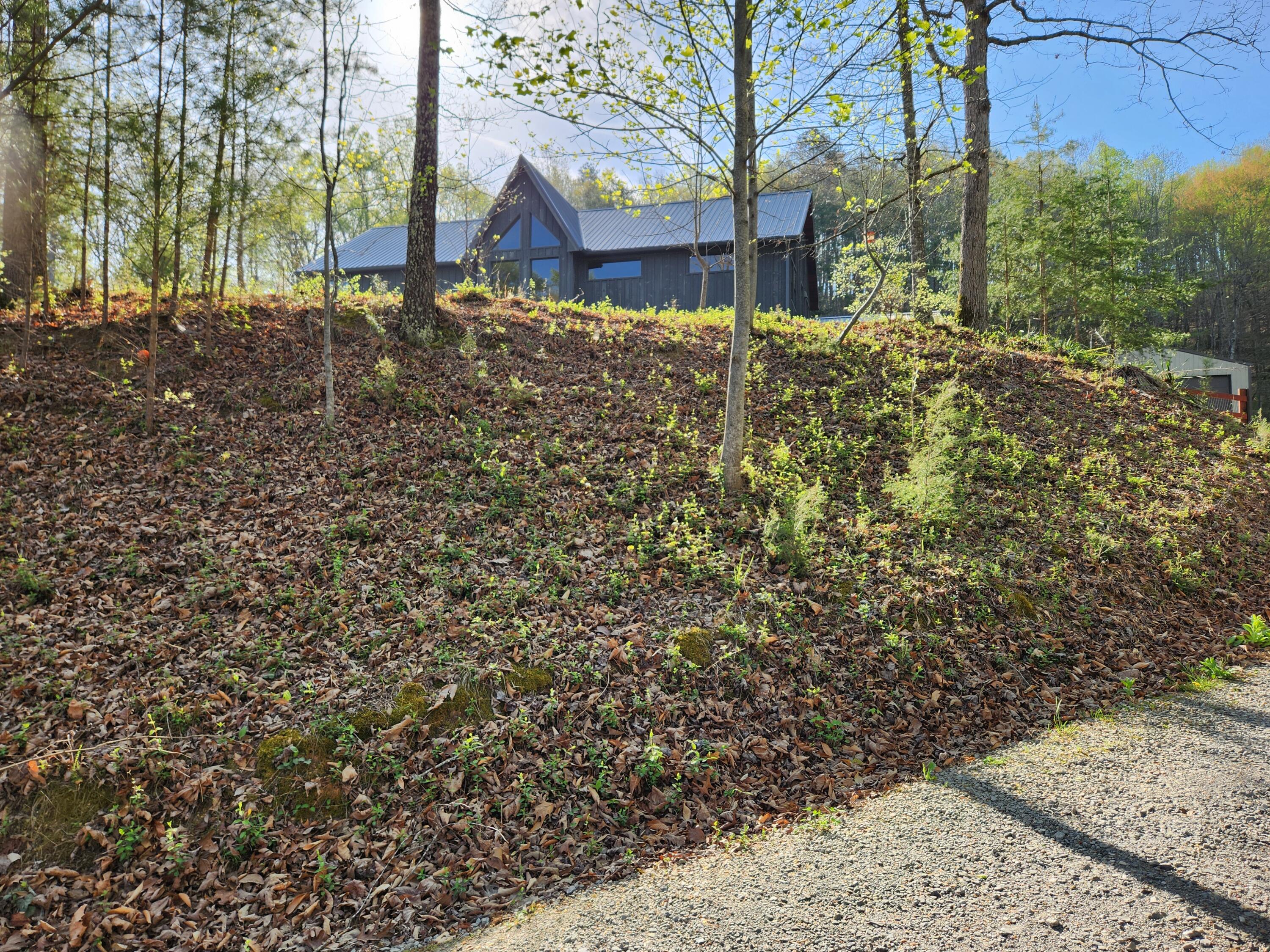 2476 Guinn Narrows Road Decatur, TN 37322 - Photo 61 of 63 20250405_095056 - Copy