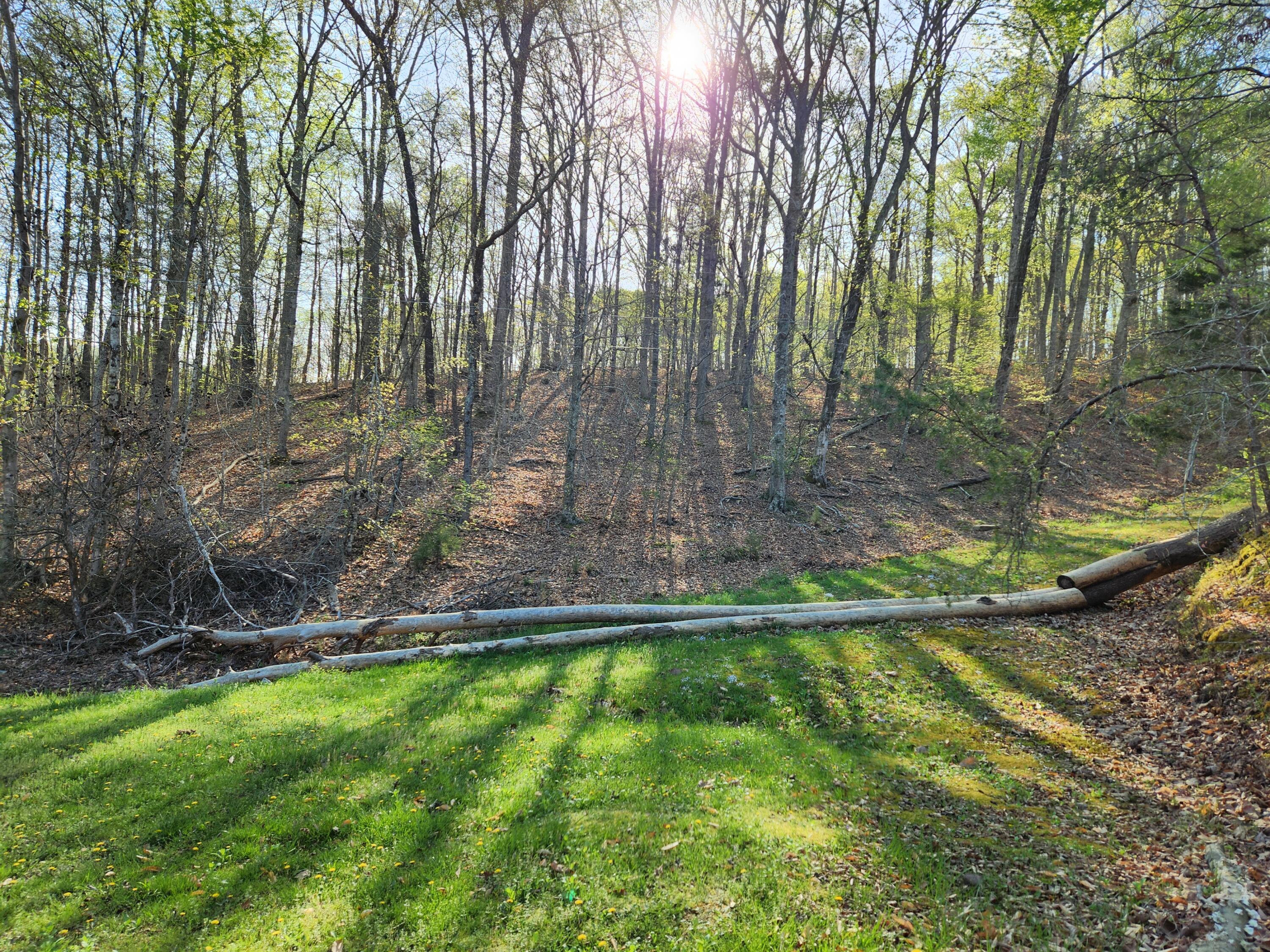 2476 Guinn Narrows Road Decatur, TN 37322 - Photo 63 of 63 20250405_094923