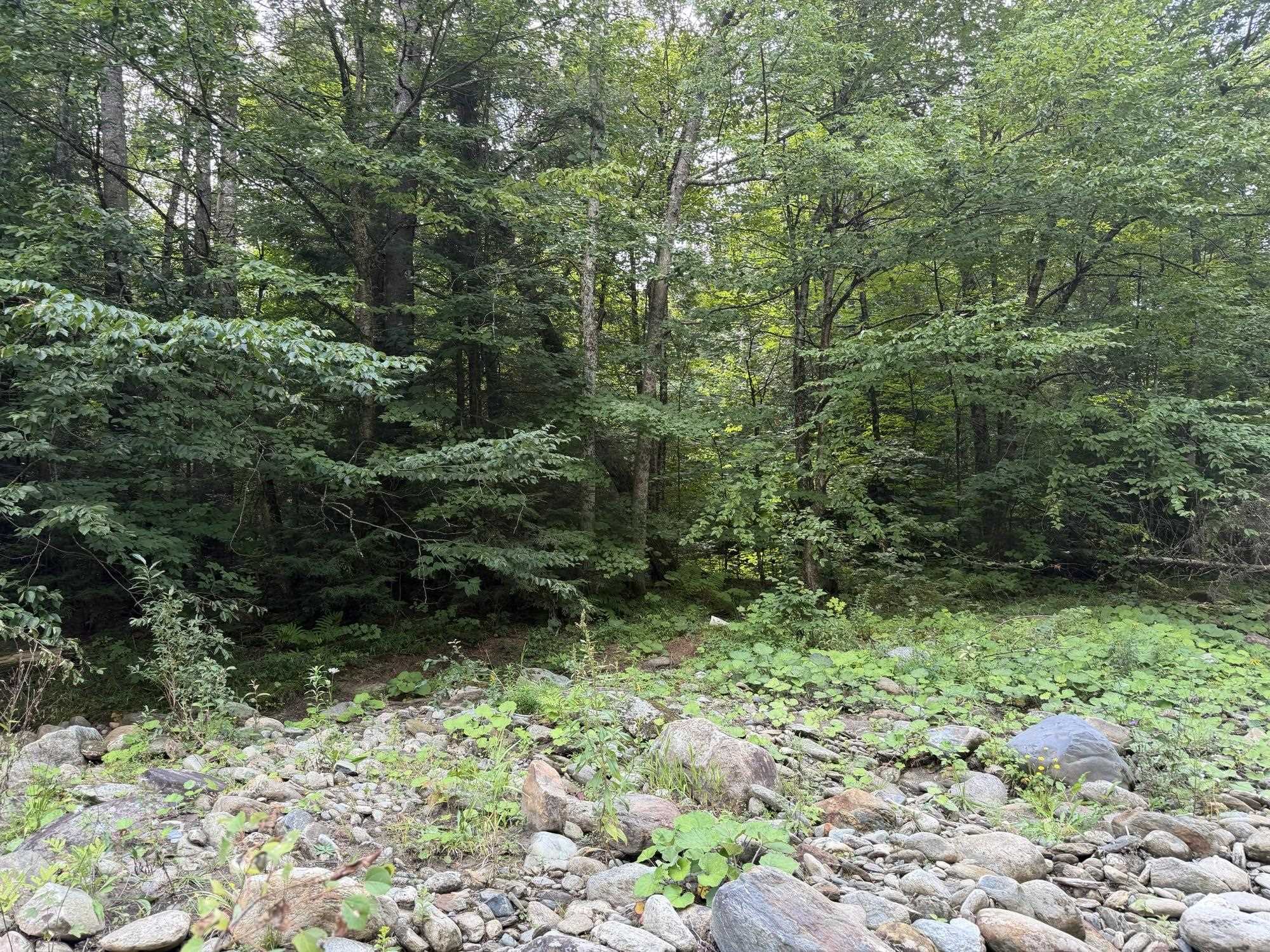 0 Route 242 Road Jay, VT 05859 - Photo 17 of 20 Gallery Image 17