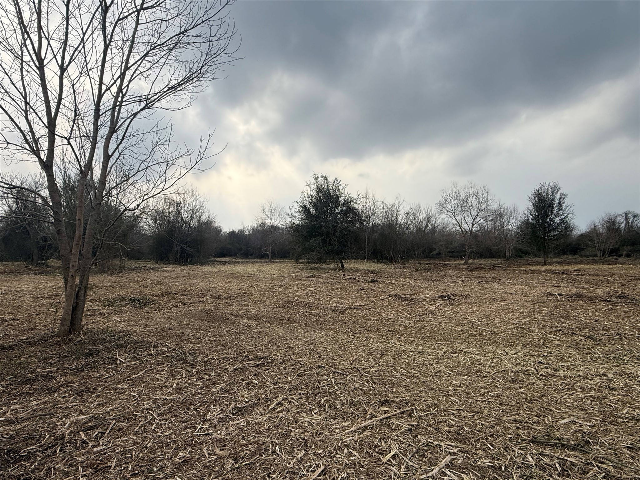 Lot 9 County Road 30 Angleton, TX 77515 - Photo 3 of 9