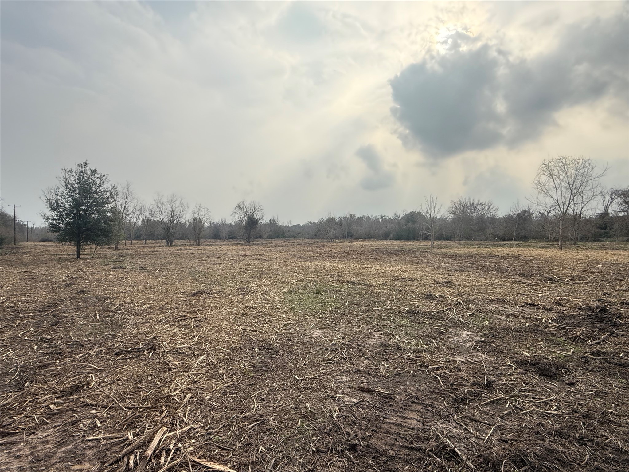 Lot 9 County Road 30 Angleton, TX 77515 - Photo 6 of 9