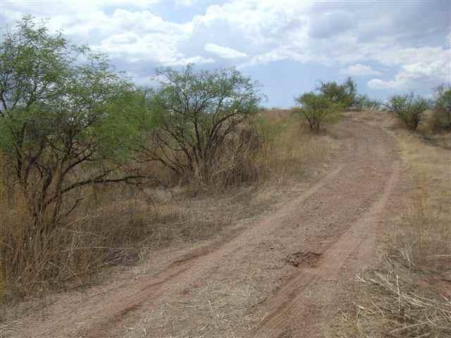 918 Hiedra Court Rio Rico, AZ 85648 - Photo 2 of 2 a view of a dry yard with wooden fence