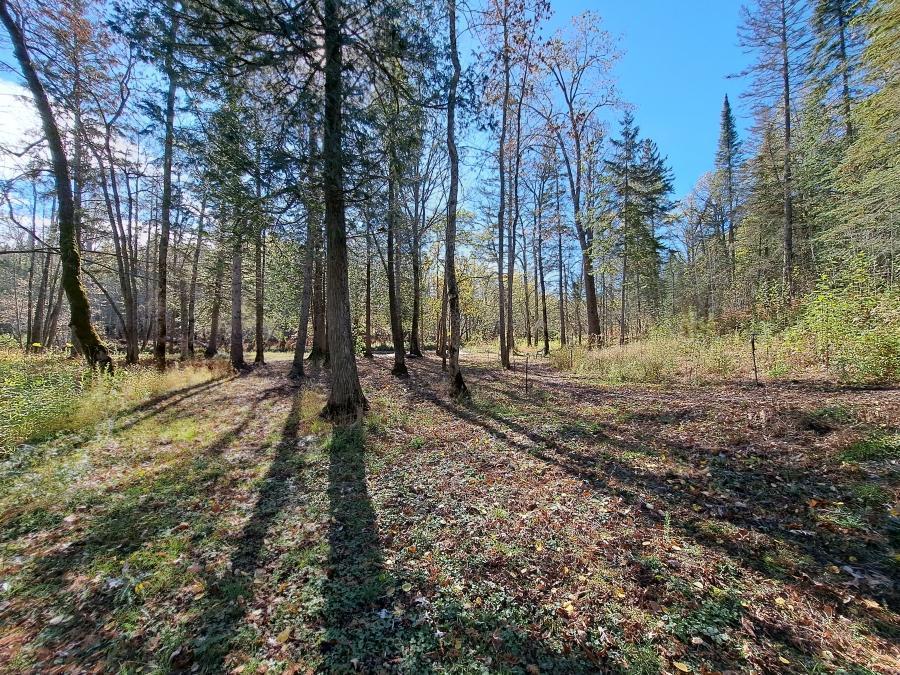 8782 Poplar Road Cotton, MN 55724 - Photo 13 of 27 Gallery Image 13