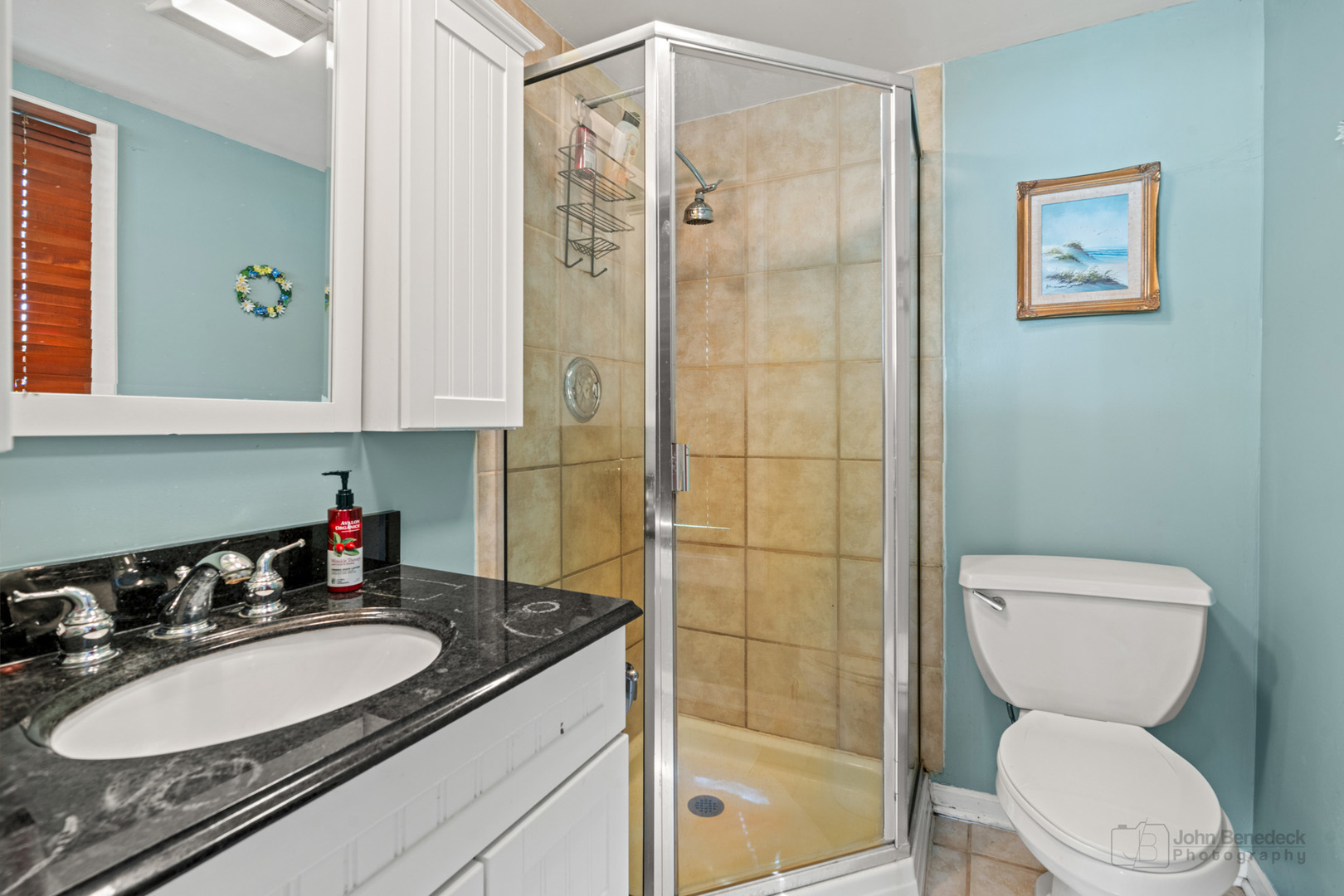 1307 Tower Lane Cary, IL 60013 - Photo 9 of 26 a bathroom with a granite countertop sink toilet and shower