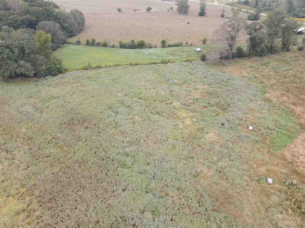 2543 Salem Road Kosciusko, MS 39090 - Photo 4 of 16 Photo 4