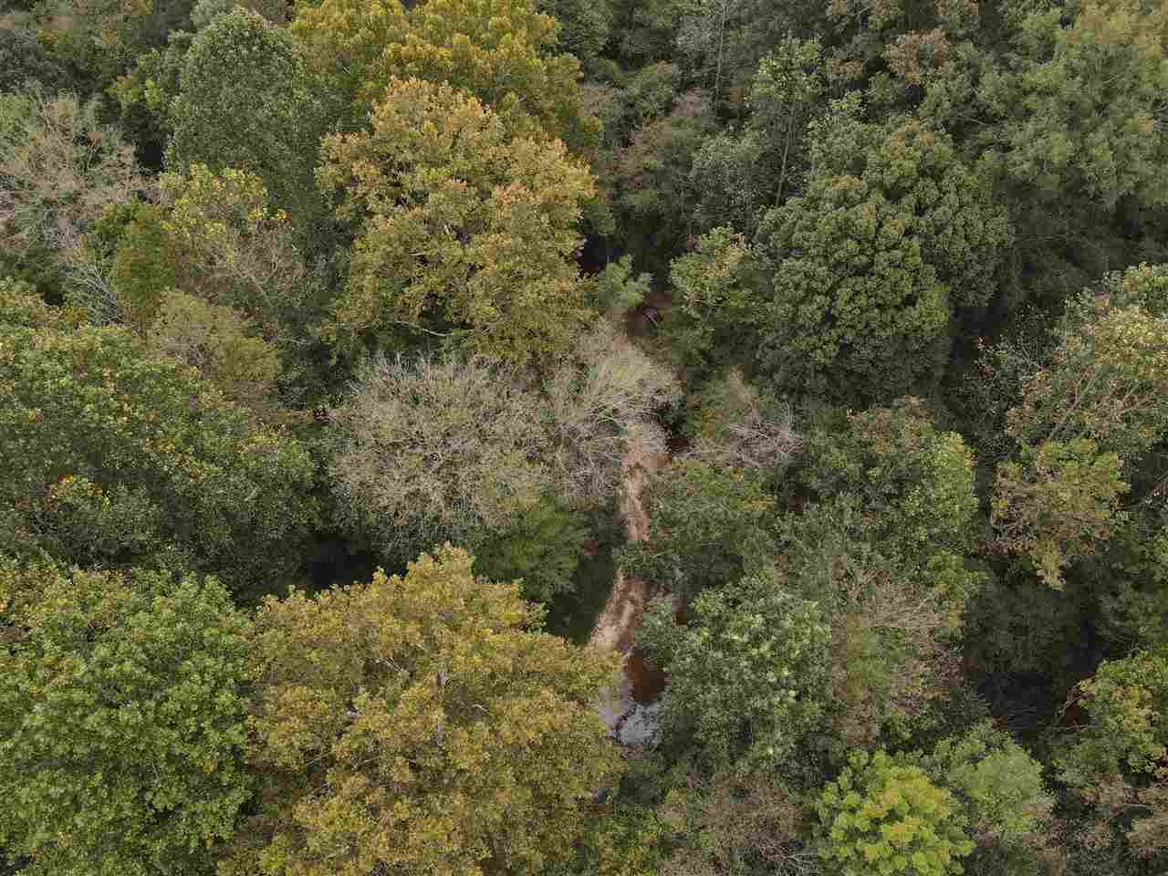 2543 Salem Road Kosciusko, MS 39090 - Photo 8 of 16 Photo 8