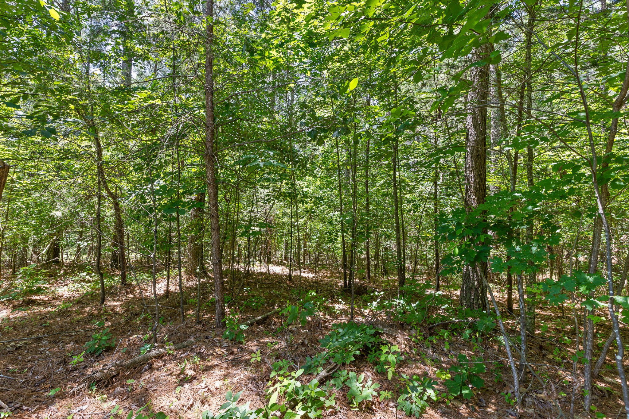 550 Northwest Hooper Gap Road Cleveland, TN 37312 - Photo 17 of 38 Gallery Image 17